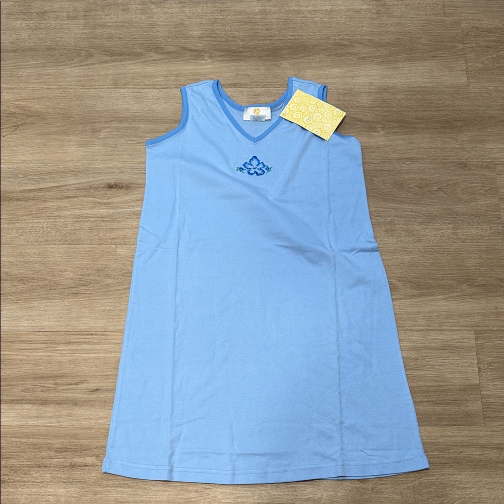 Vintage Blue nightgown Sleeveless